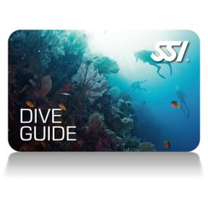 Professionell Dive Gide, Dive Master, Assistent Instructor